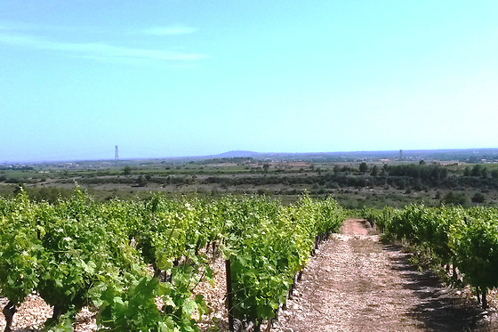 Gîtes Tout au sud de la France - photo 4