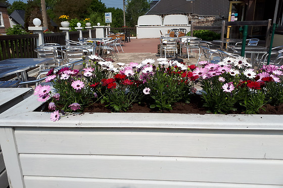L'Eau Vive - photo 2