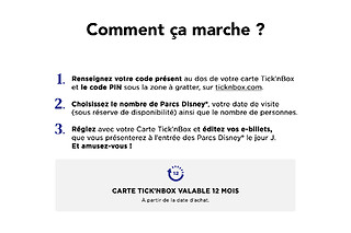 Carte Disneyland® Paris Mickey