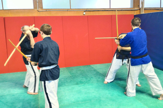 Nord Shogun - Arts Martiaux Faches Thumesnil - photo 5