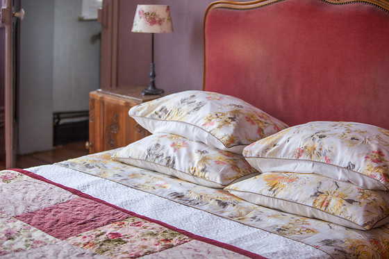 chambre d'hotes des caps et marais d'Opale - photo 2