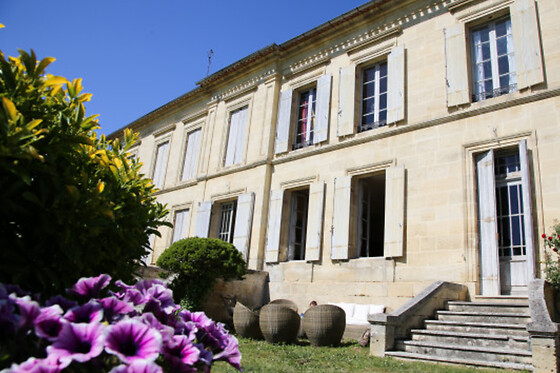 Visite et dégustation de vins bios à Bordeaux (33)