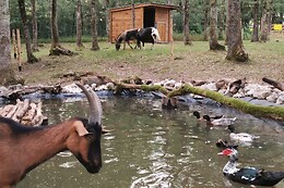 La Parenthèse Meslandaise