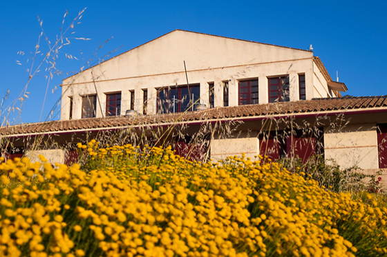 BODEGAS HACIENDA DEL CARCHE - photo 0
