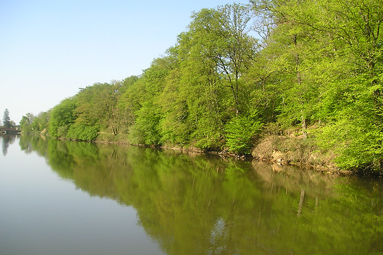 Les Etangs de Guibert - photo 3