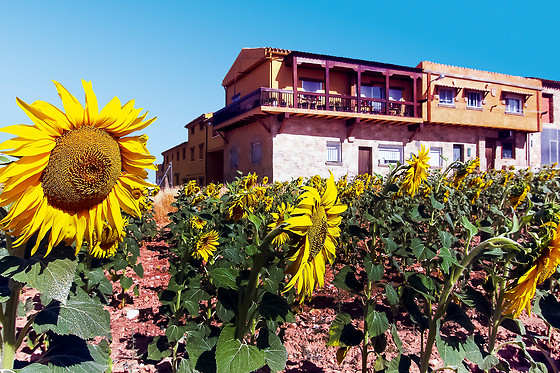 CASAS RURALES LA ANTIGUA VAQUERIA - photo 2
