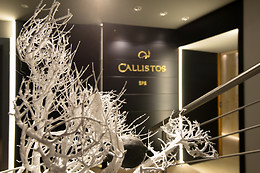 Callistos Hotel