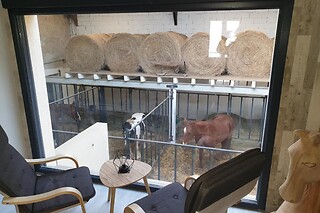 INSOLITE - 3 jours de rêve