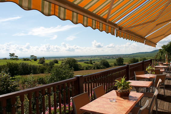 Hôtel du Bollenberg - photo 31