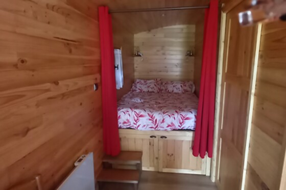 Les Insolites de Nini - photo 1