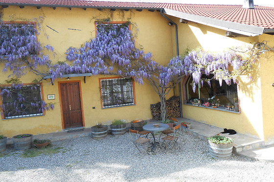Cascina La Maddalena Bed & Wine - photo 3