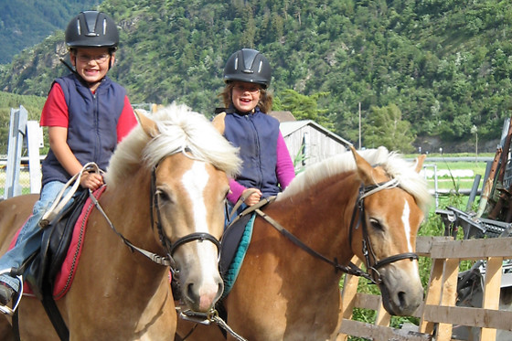 Zucht- und Reitstall Gentinetta - photo 13