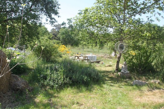Au Jardin d'Ariane - photo 11