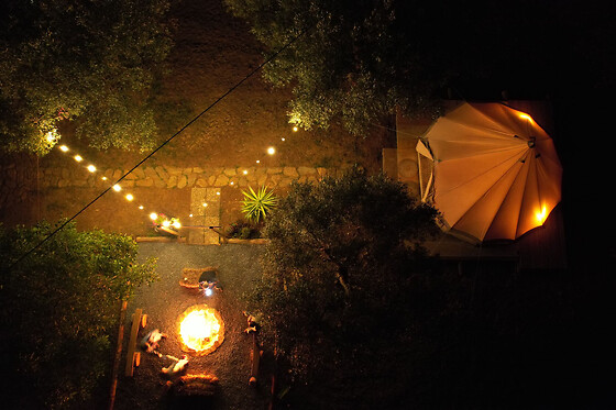 Golden Camp - photo 7
