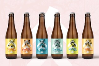 Un dégustation de bières pour deux à la Brasserie d'Amblise à Crespin (59)