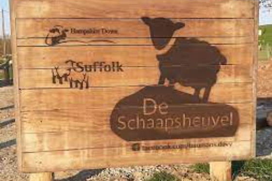De Schaapsheuvel - photo 1