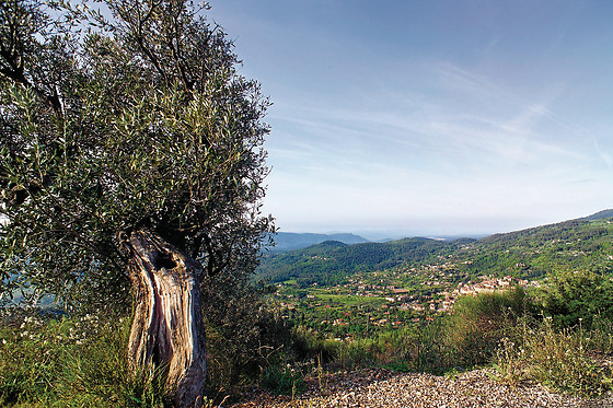 Le Paradou Mediterranée - photo 8
