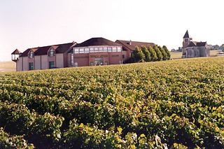 Dégustation pour 2 au domaine Jean-Marc Brocard à Prehy (89)
