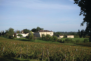 Dégustation de vin pour 2 à L’école du vin Ludivinum à Saint-Jean-de-Védas (34)