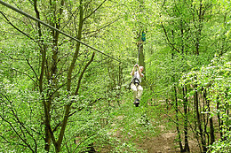Arbr'en Ciel