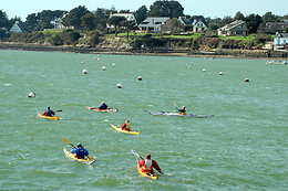 Les passagers du vent