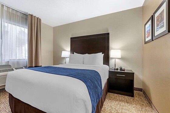 Online Booking EPS - photo 8
