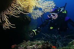 Aquatic Rando