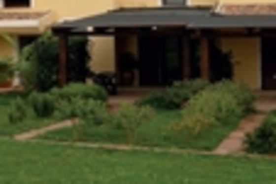 B&B Palmas Dorada - photo 11