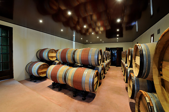 Atelier d’œnologie pour 2 aux Vignobles Alain Chaumet à Lalande de Pomerol (33)