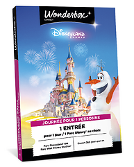 Disneyland Paris - Journée pour 1 personne (adulte)