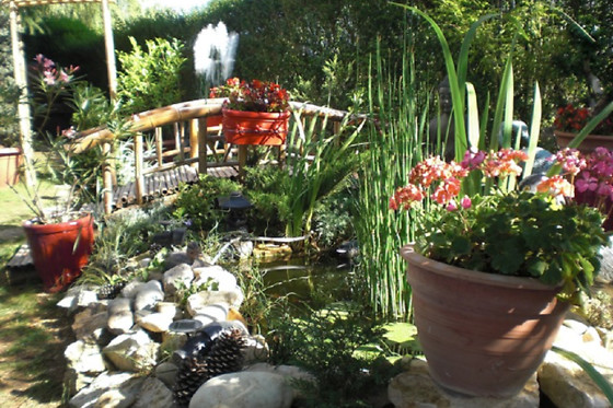 La Maison Bleue Jura - photo 9