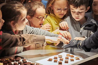 Billet pour la Cité du Chocolat Valrhona près de Valence (26)