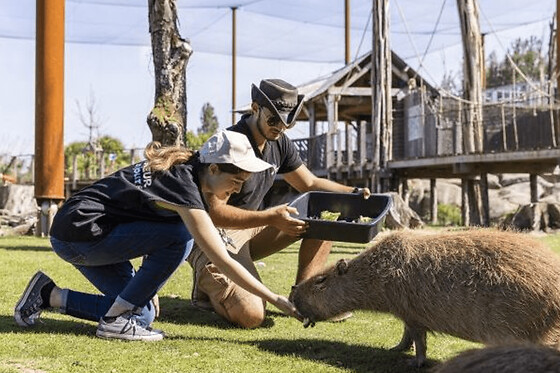 Soigneur d'un jour au parc Parrot World - Adulte