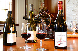 Domaine du Vieil Orme