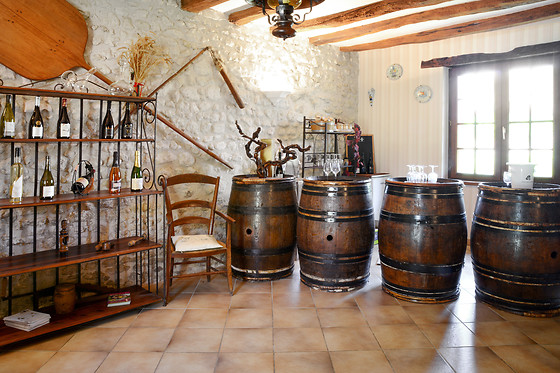 Dégustation au Domaine du Viel Orme à Saint-Julien-de-Chédon (41)