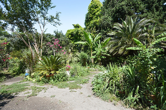 Villa Leona - photo 0