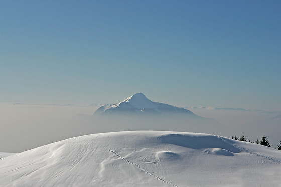 La Croix de Savoie & Spa - photo 2