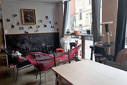 Le chat puccino