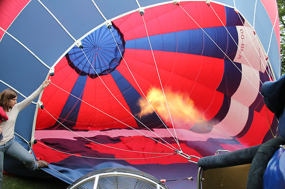 Pearl Balloon - photo 5