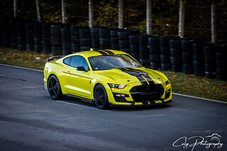 Découverte Ford Mustang Shelby GT500 (3 tours) sur le Circuit du Var (83)