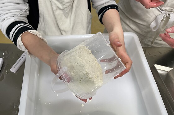 La Chalotterie - photo 5