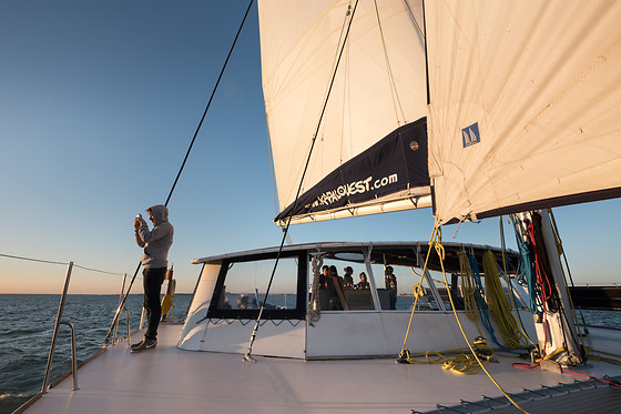Activités nautiques