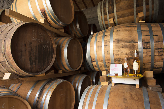 Un séjour œnologique pour deux à La Ferme de Chez Piché à Chérac (17)