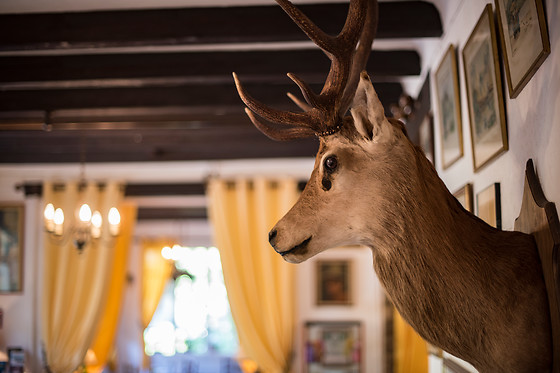Auberge des Gorges du Loup - photo 17