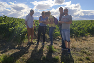 Escape game dans la nature à 4 - Vino Enigma - Saint-Paul-de-Fenouillet (66)