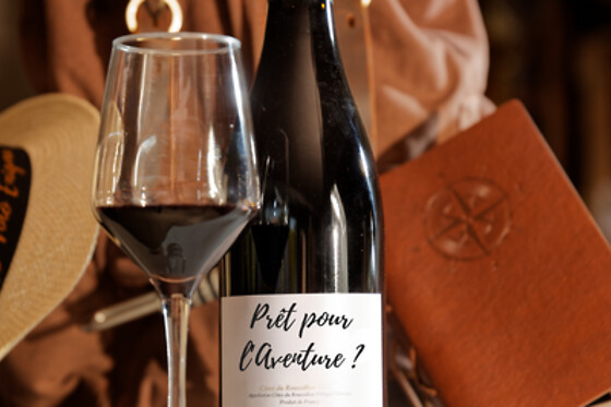 Escape game dans la nature à 4 - Vino Enigma - Saint-Paul-de-Fenouillet (66)