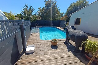 Un accès privatif au spa avec bain à remous et à la piscine en soirée chez Bulle Mauran Berre à Berre-l'Étang (13)