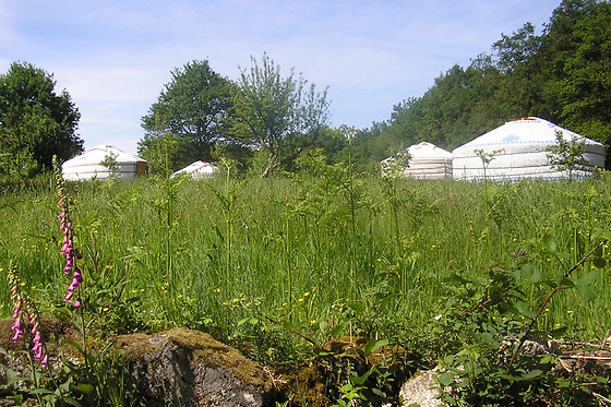 Les ânes de Vassivières - photo 5