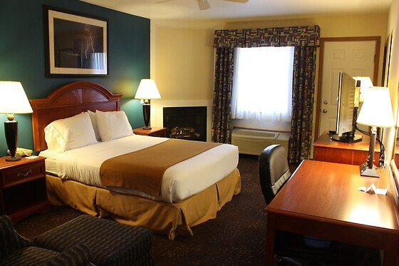 Online Booking EPS - photo 4
