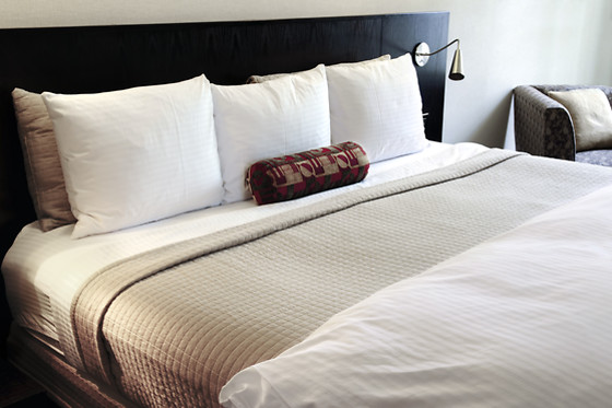 HOTEL ARAZ - photo 0